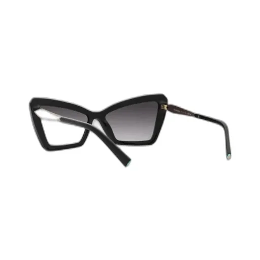Cat-Eye Frame Sunglasses