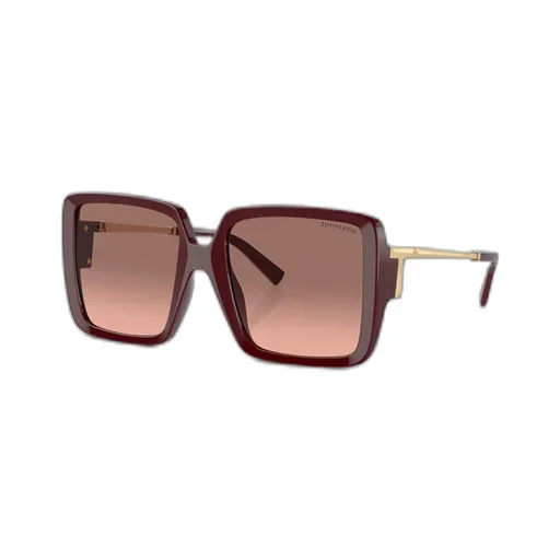 Full Frame Sunglasses