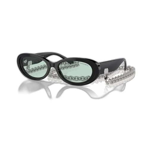 Full Frame Sunglasses
