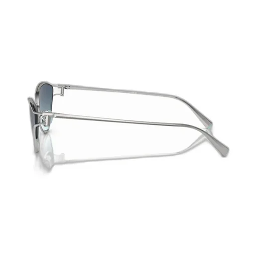 Cat's Eye Sunglasses