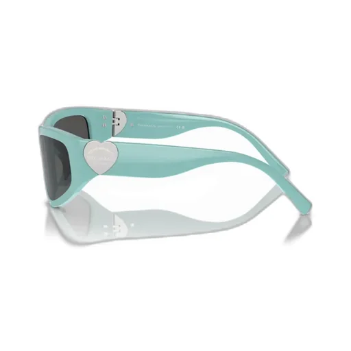 Geometric Frame Sunglasses