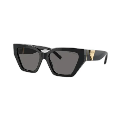 Geometric Frame Sunglasses