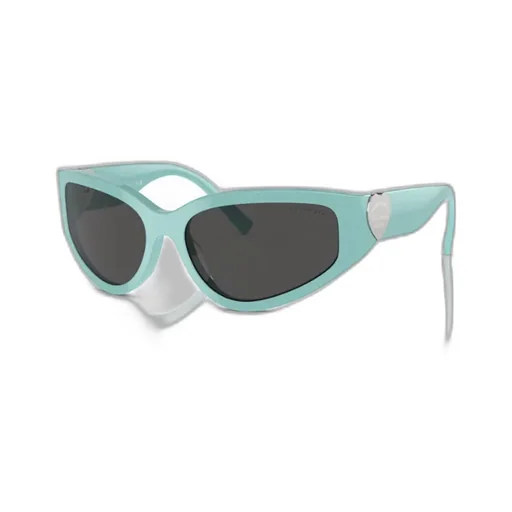 Geometric Frame Sunglasses