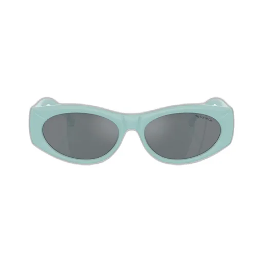 Full Frame Sunglasses