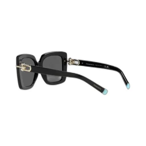 Logo Sunglasses
