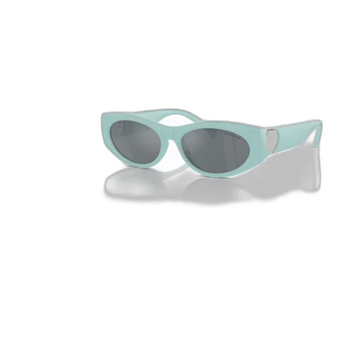 Full Frame Sunglasses