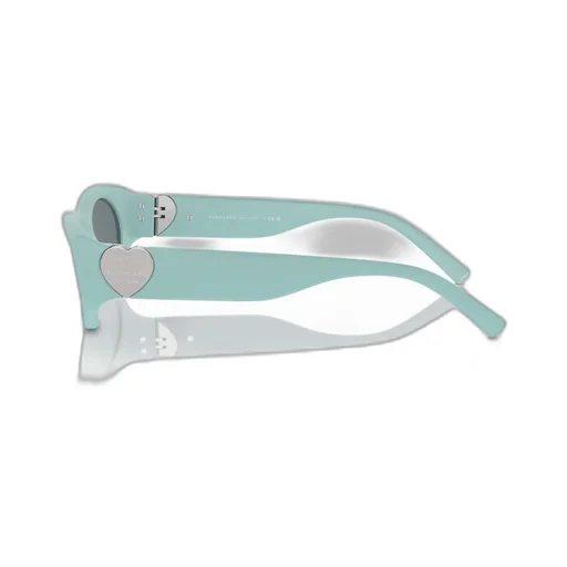 Full Frame Sunglasses