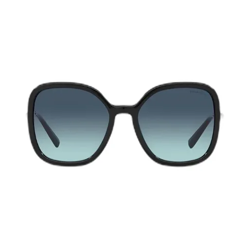 Oversized Frame Sunglasses