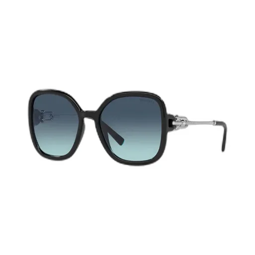 Oversized Frame Sunglasses