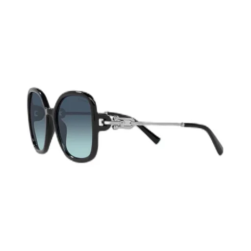 Oversized Frame Sunglasses