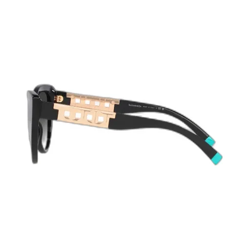 Logo Sunglasses