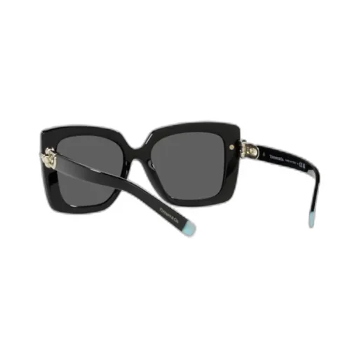 Logo Sunglasses