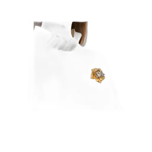 Fleur Lumineuse Brooch