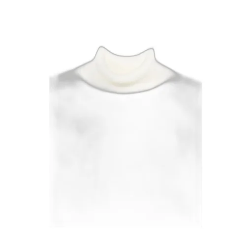 Ribbed Turtleneck Sweater