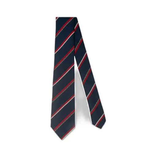 Striped Print Tie