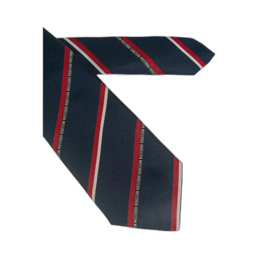 Striped Print Tie