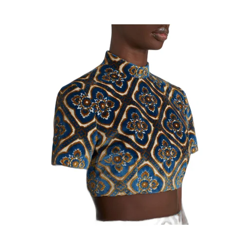 Paisley Print Cropped Top