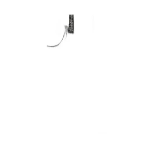 Belt Loop Trousers