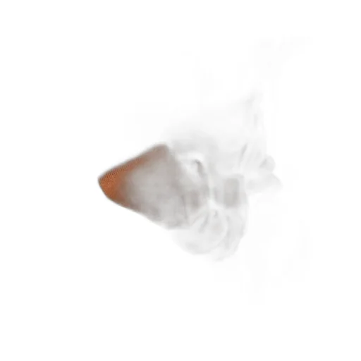 Berenice Skirt