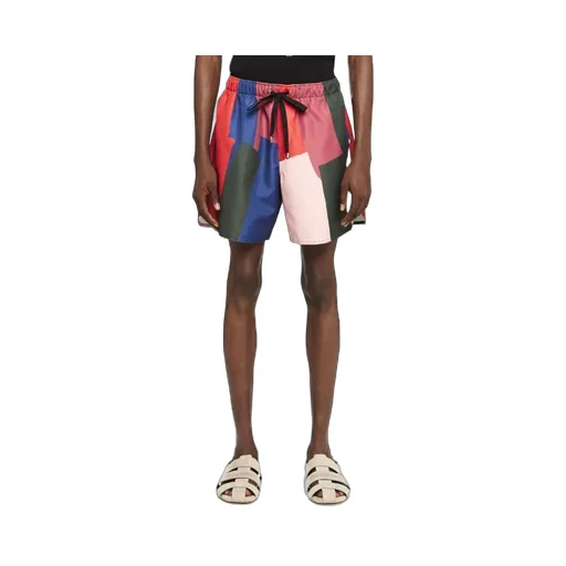 Stripe Printed Swim Shorts