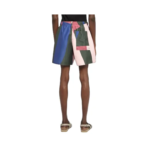 Stripe Printed Swim Shorts