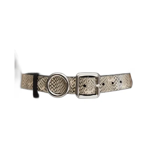 Regalo Belt