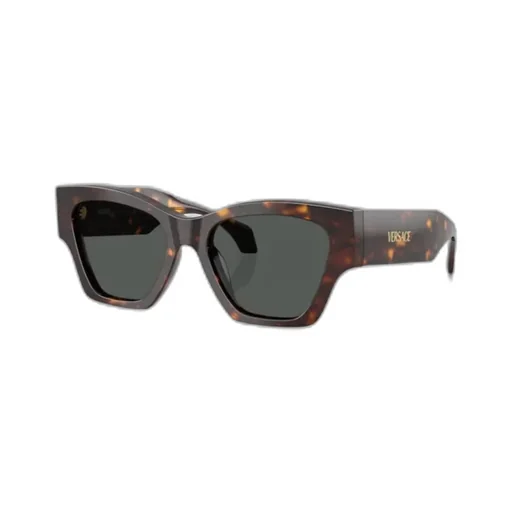 Square-Frame Sunglasses