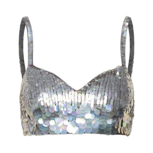 Sequin Embellished Bustier Top