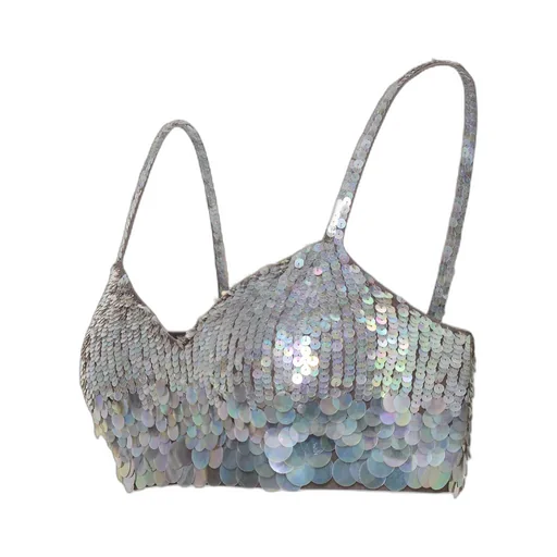 Sequin Embellished Bustier Top