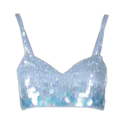 Iridescent Sequin Cropped Top