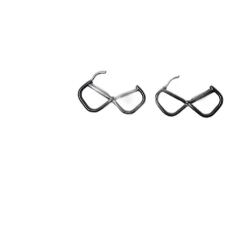 V-Symbol Earrings