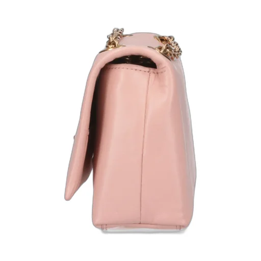 The Dual Chain Mini Bag