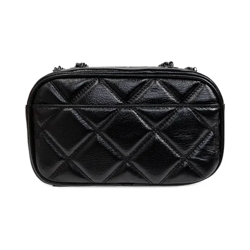 The Quilted Leather Chain Snapshot Bag