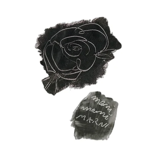 Scraped Rose Printed T-Shirt