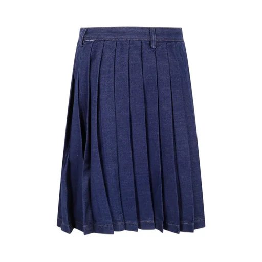 Pleated Skirt