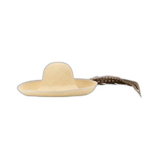 Embellished Brimmed Hat