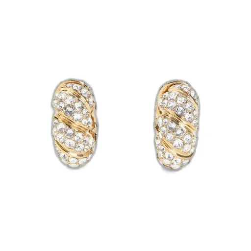 Pas Plus Earrings