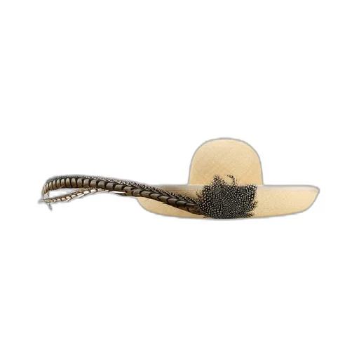 Embellished Brimmed Hat