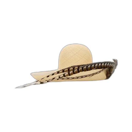 Embellished Brimmed Hat