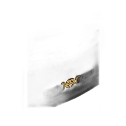 Medusa-Plaque Zipped Clutch Bag