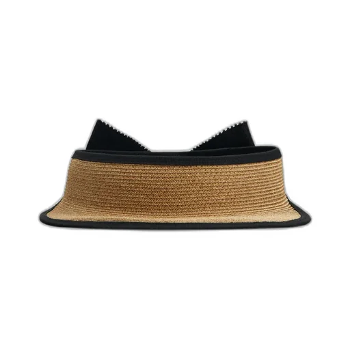 Broche Vivier Buckle Visor
