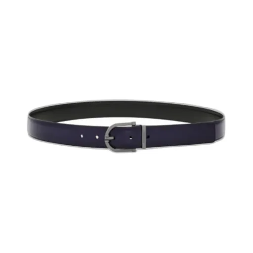 Reversible And Adjustable Belt