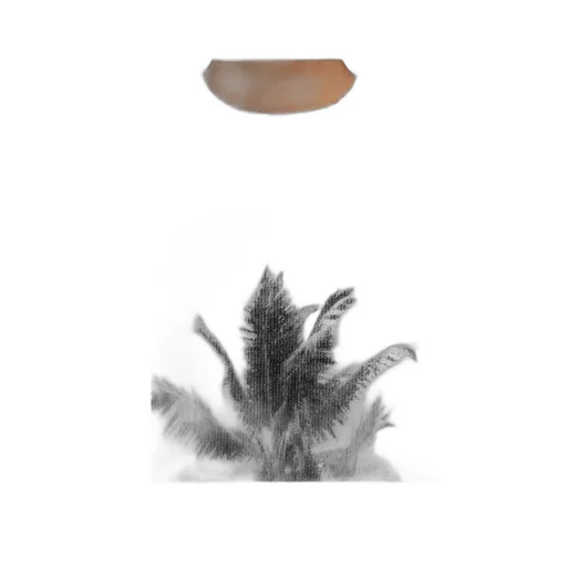 Trinidad Print Pullover