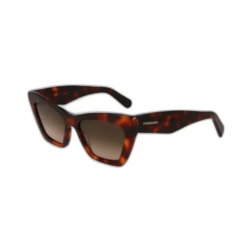 Cat Eye Frame Sunglasses