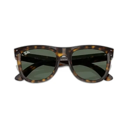 Wayfarer Reverse Sunglasses