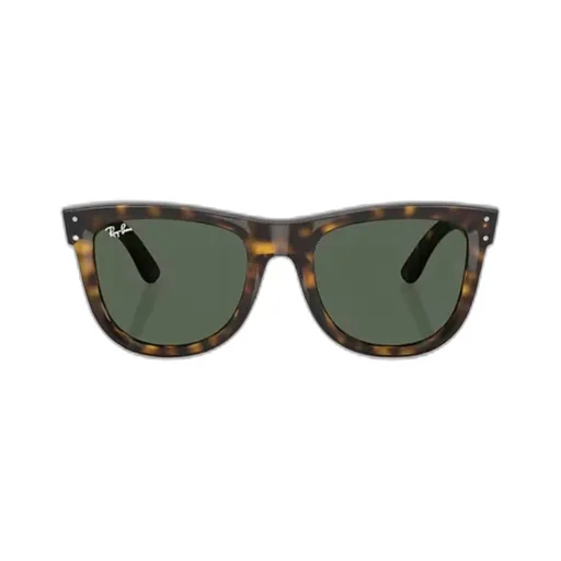 Wayfarer Reverse Sunglasses
