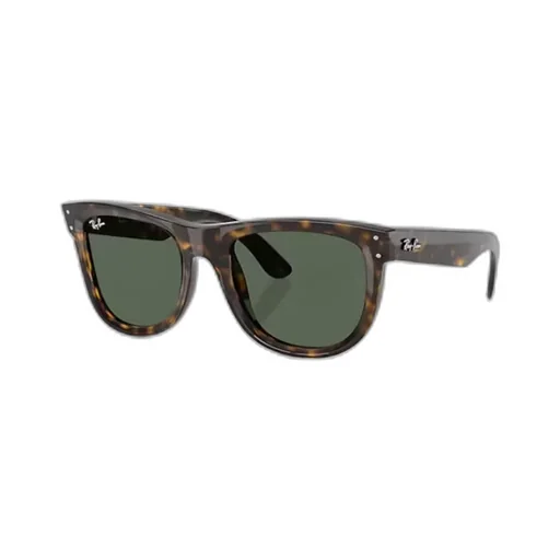 Wayfarer Reverse Sunglasses