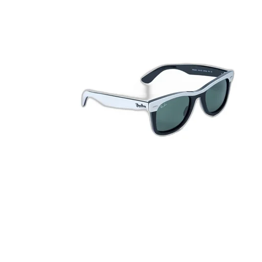 Wayfarer Sunglasses