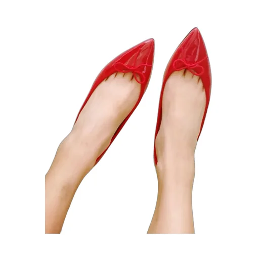 Brigitte Pointed Toe Ballet Flats