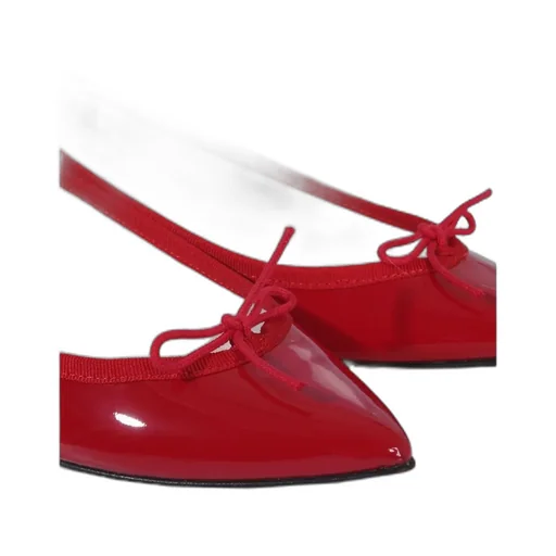 Brigitte Pointed Toe Ballet Flats